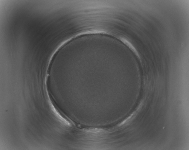 X0000082930797200702081539