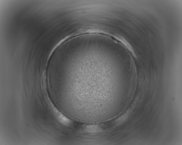 X0000082930798200702081539