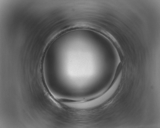 X0000082930799200702081539