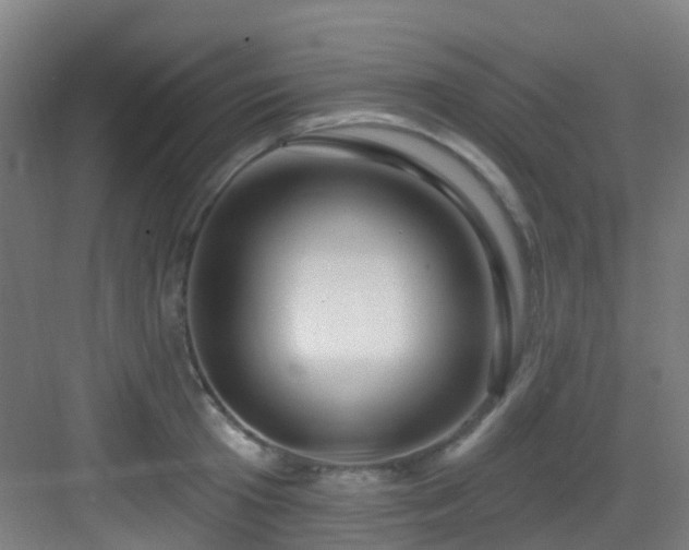 X0000082930801200702081539