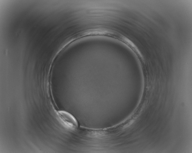 X0000082930802200702081539