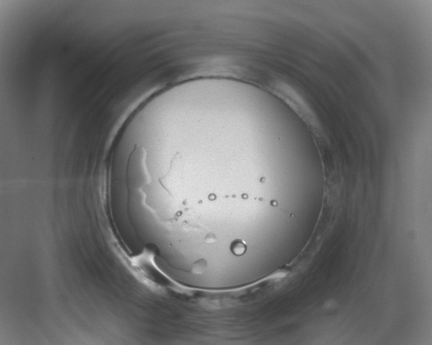 X0000082930804200702081539