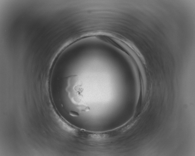 X0000082930805200702081539