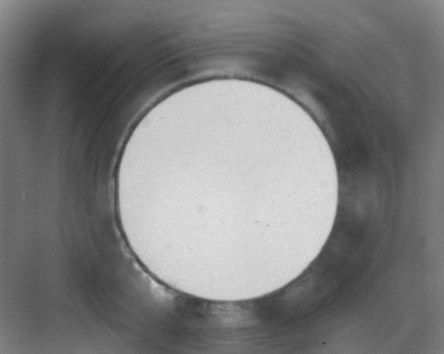 X0000082930807200702081539