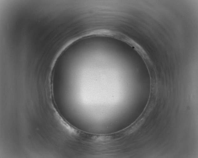 X0000082930808200702081539