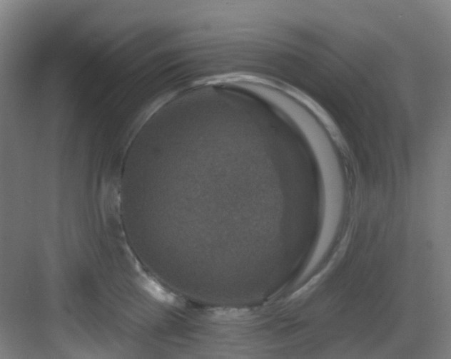 X0000082930809200702081539