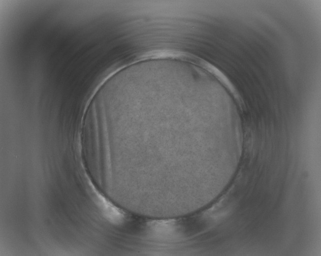 X0000082930810200702081539