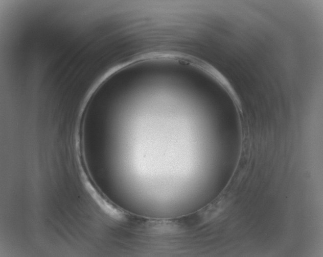 X0000082930811200702081539