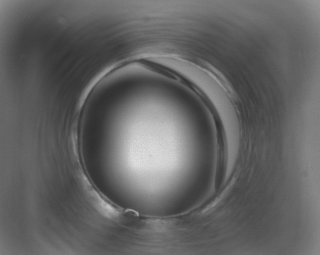 X0000082930812200702081539