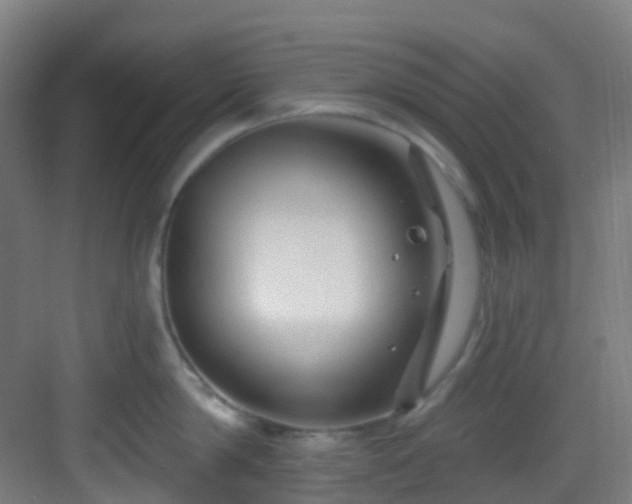 X0000082930814200702081539