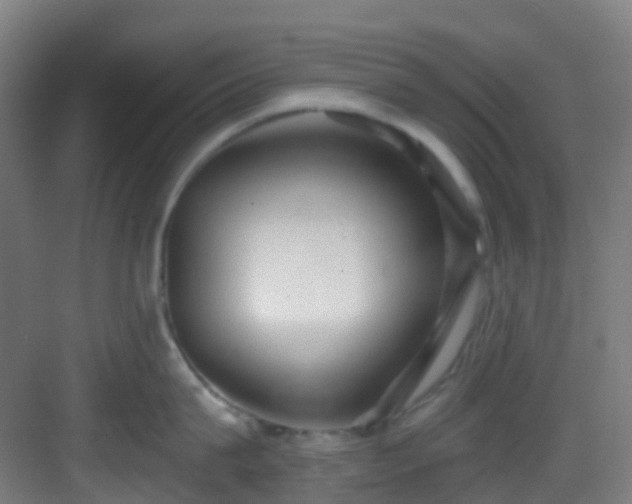 X0000082930815200702081539