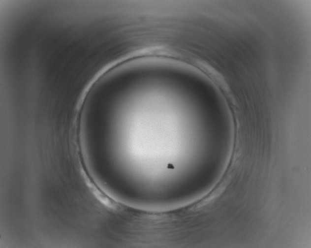 X0000082930816200702081539