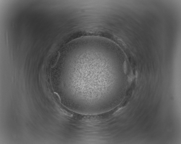 X0000082930817200702081538