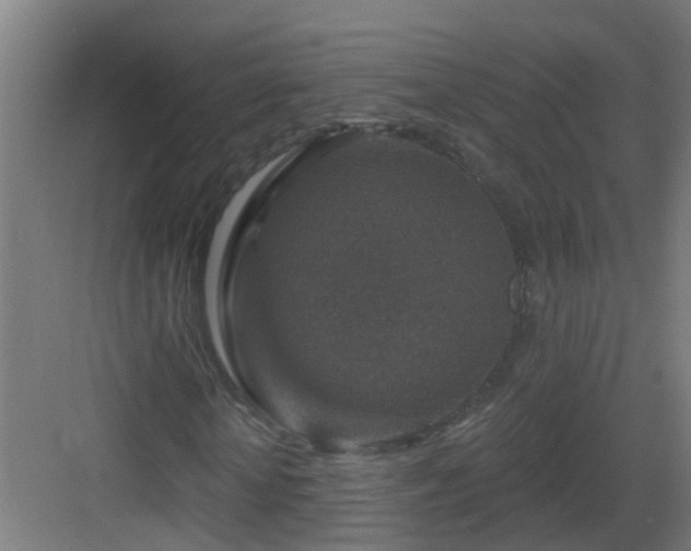 X0000082930818200702081538