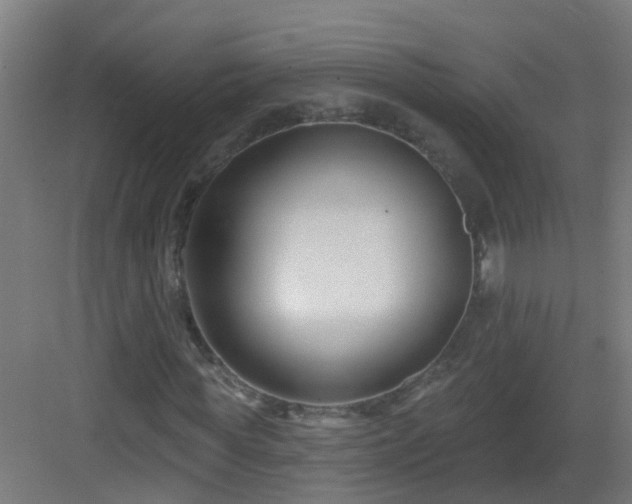 X0000082930819200702081538