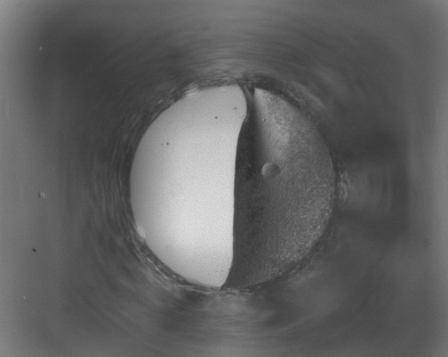 X0000082930820200702081538