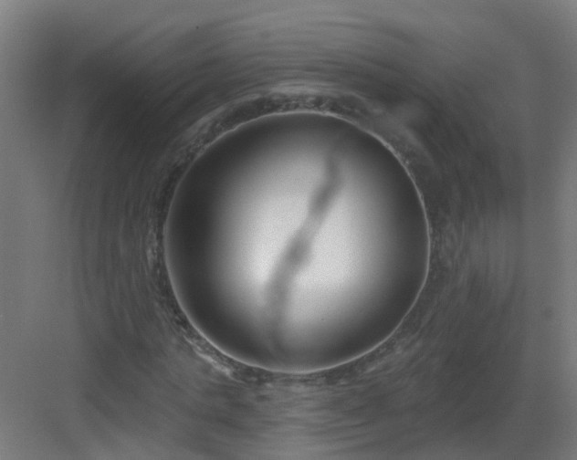 X0000082930821200702081538