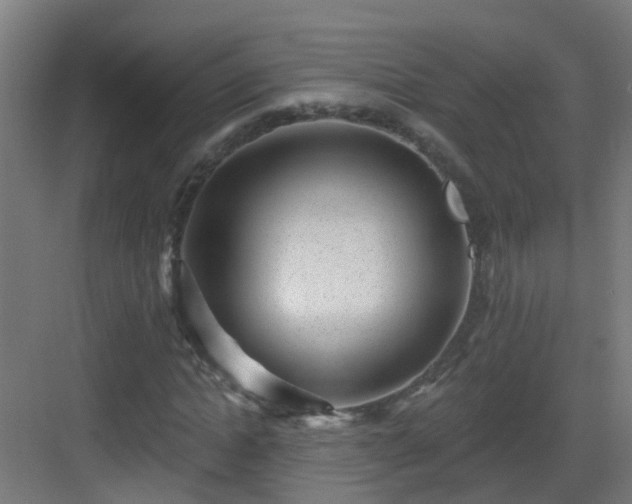 X0000082930822200702081538