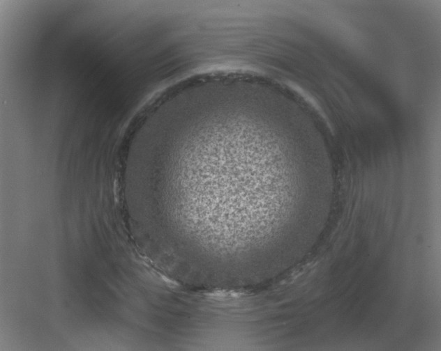 X0000082930823200702081538