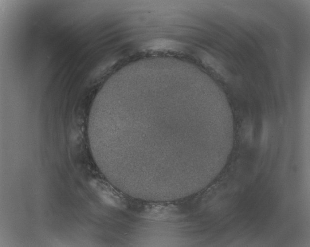 X0000082930824200702081538