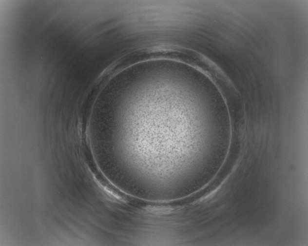 X0000082930825200702081538