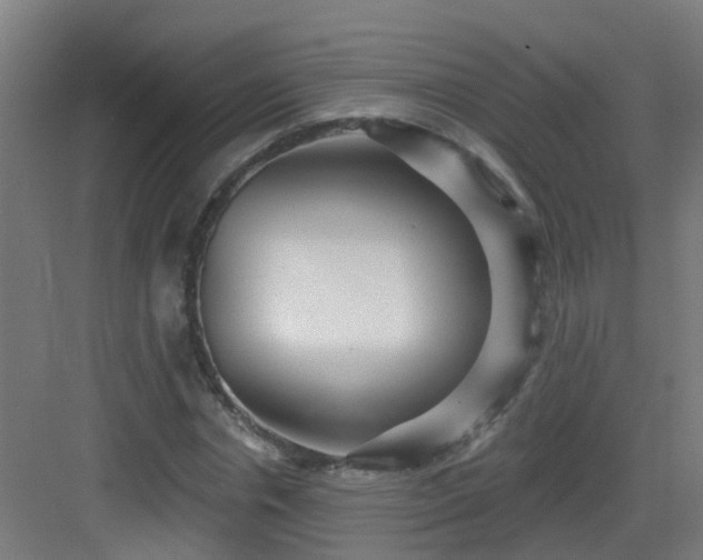 X0000082930826200702081538