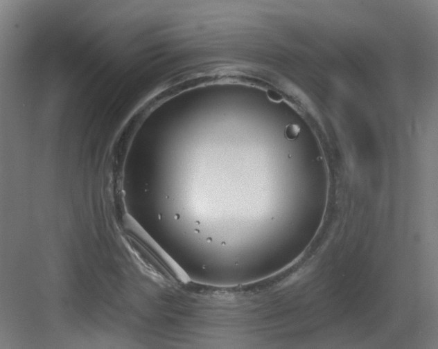 X0000082930827200702081538