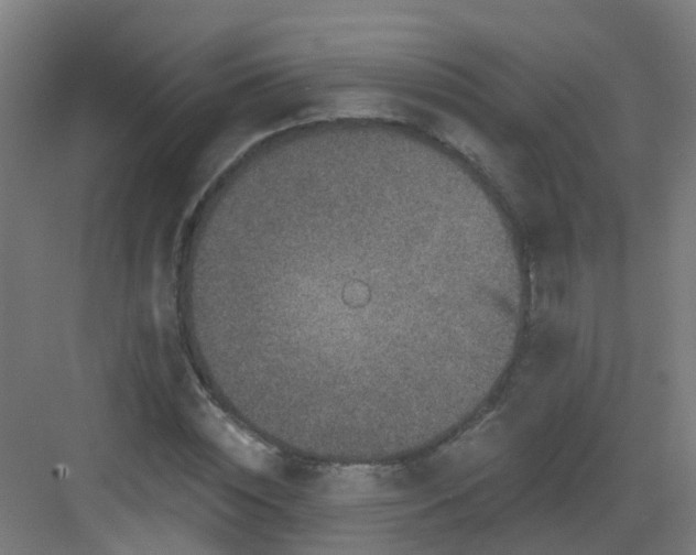 X0000082930828200702081538