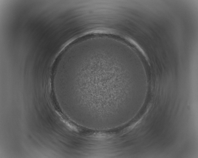 X0000082930829200702081538