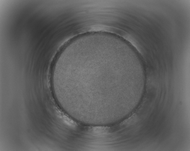 X0000082930832200702081538