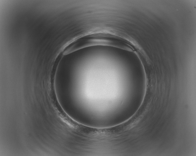 X0000082930834200702081538