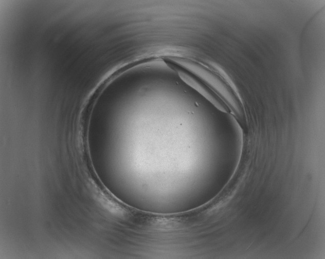 X0000082930835200702081538