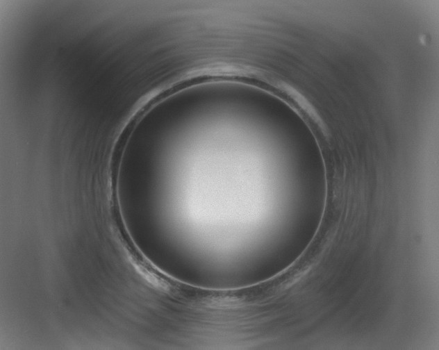 X0000082930837200702081538