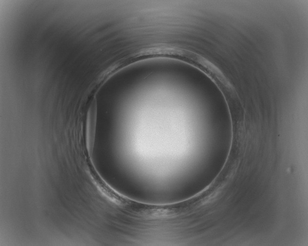 X0000082930841200702081538