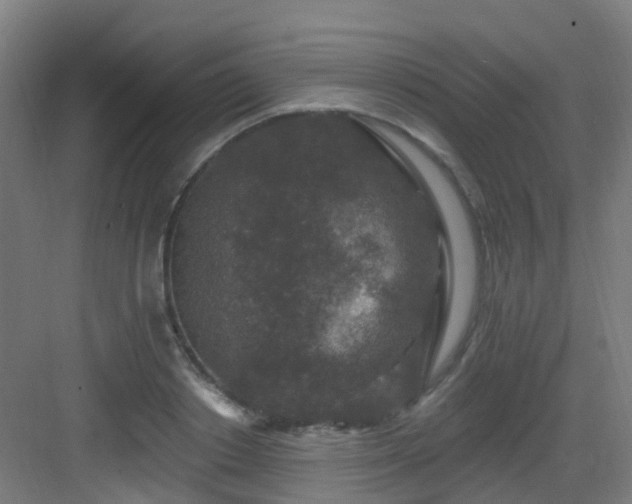 X0000082930842200702081539