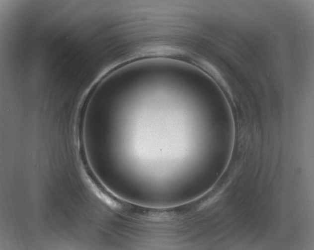 X0000082930843200702081539