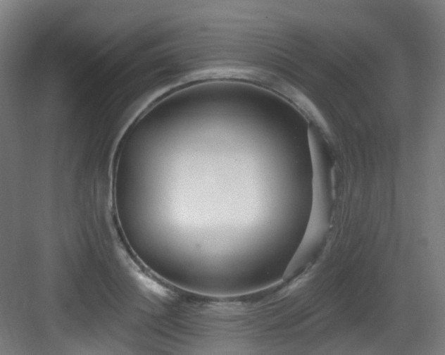 X0000082930844200702081539