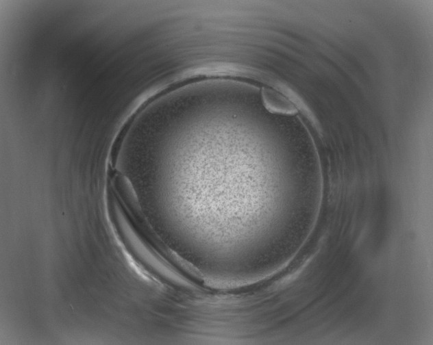 X0000082930845200702081539