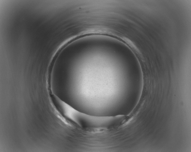 X0000082930846200702081539