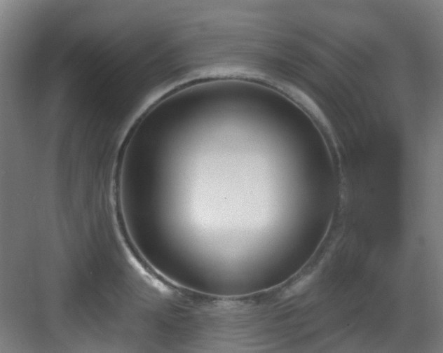 X0000082930847200702081539