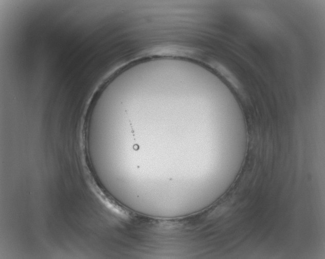 X0000082930848200702081539