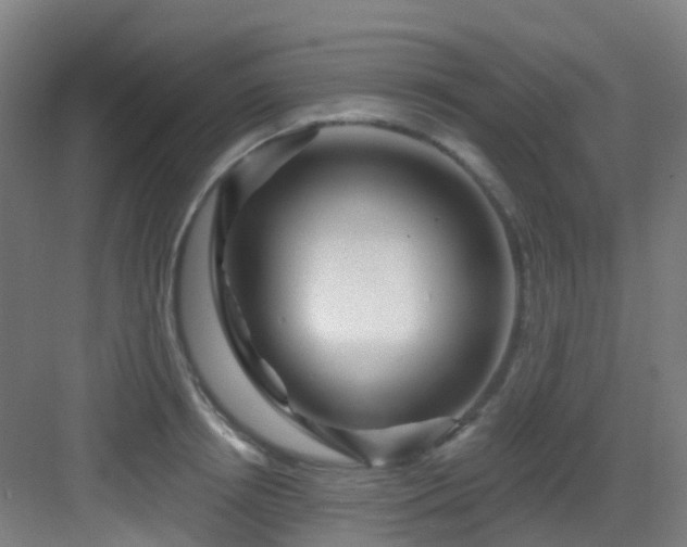 X0000082930850200702081539