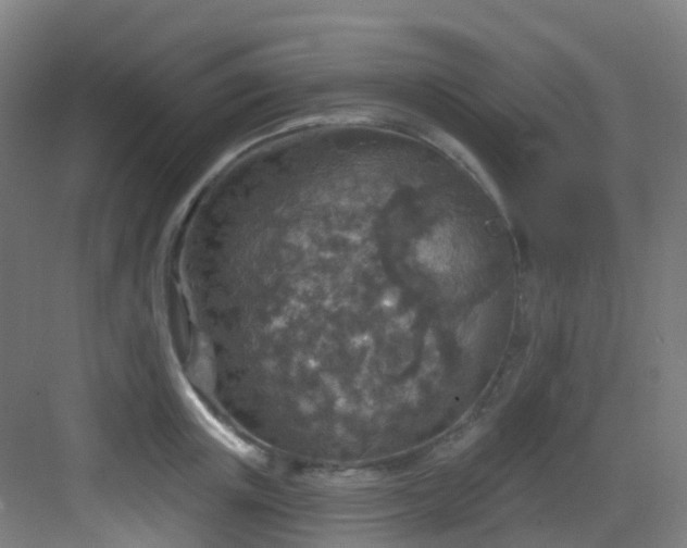 X0000082930851200702081539