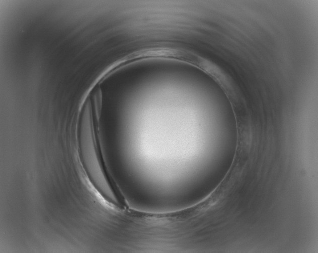 X0000082930852200702081539