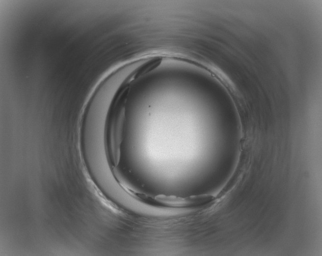 X0000082930854200702081539