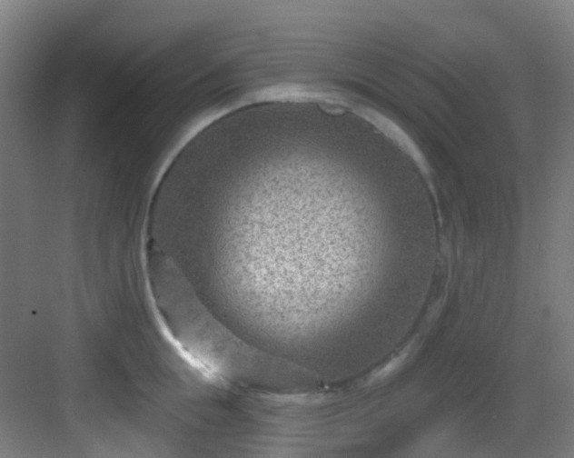 X0000082930855200702081539