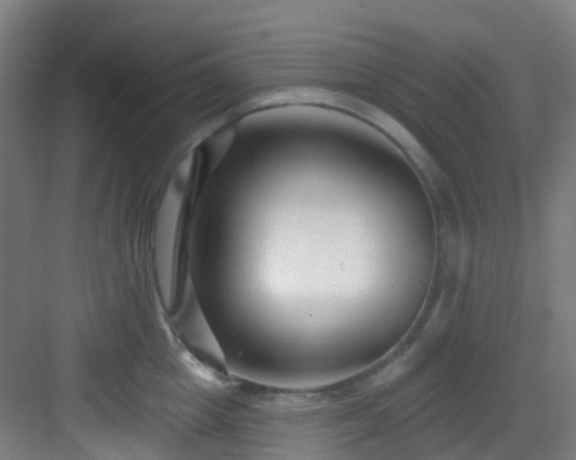 X0000082930857200702081539