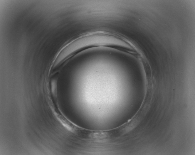 X0000082930858200702081539