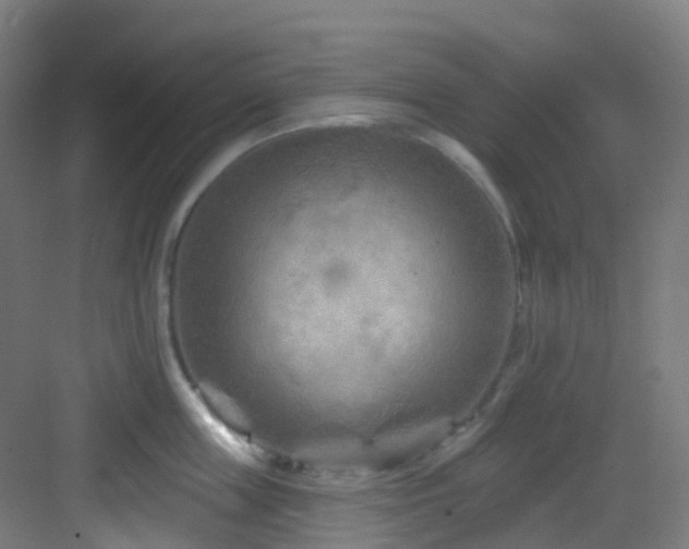 X0000082930859200702081539