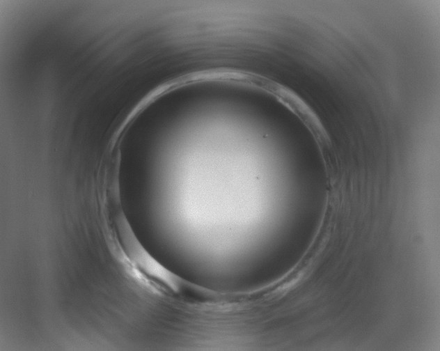 X0000082930860200702081539